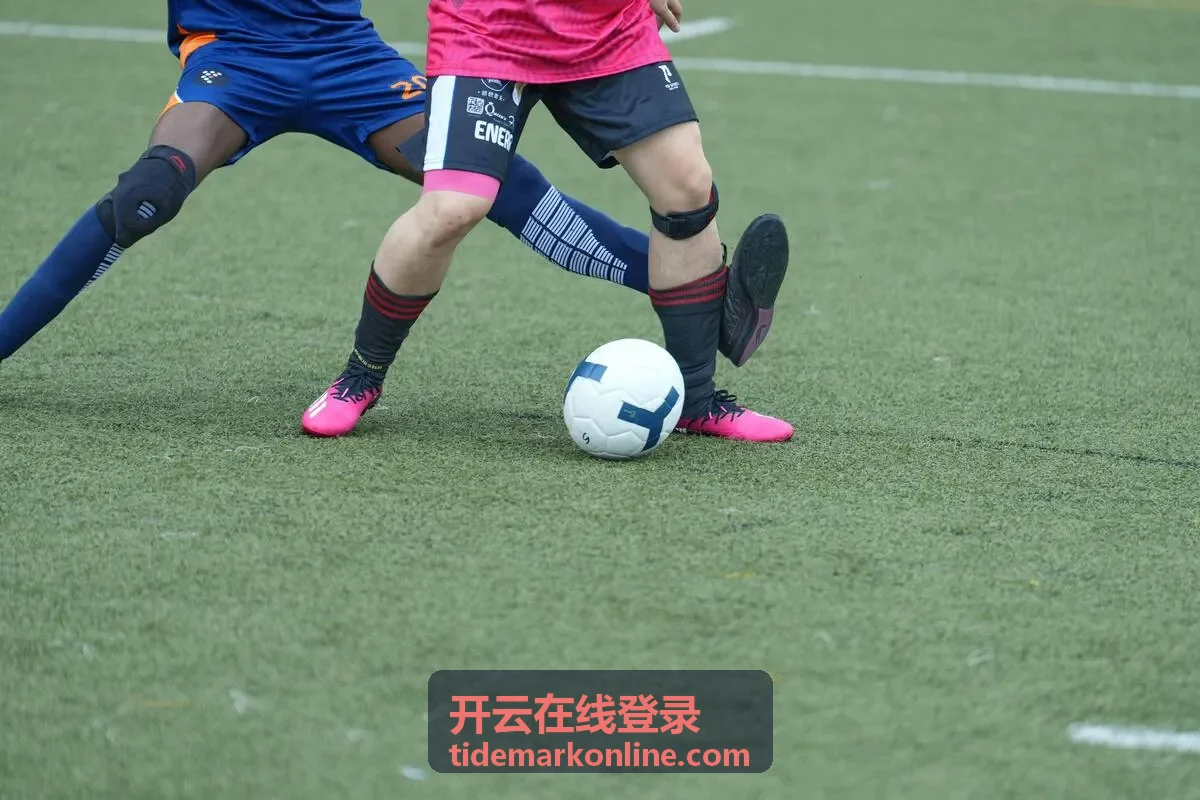 开云官方端网站登录入口 - 开云online(中国)片库音乐现场分区封面